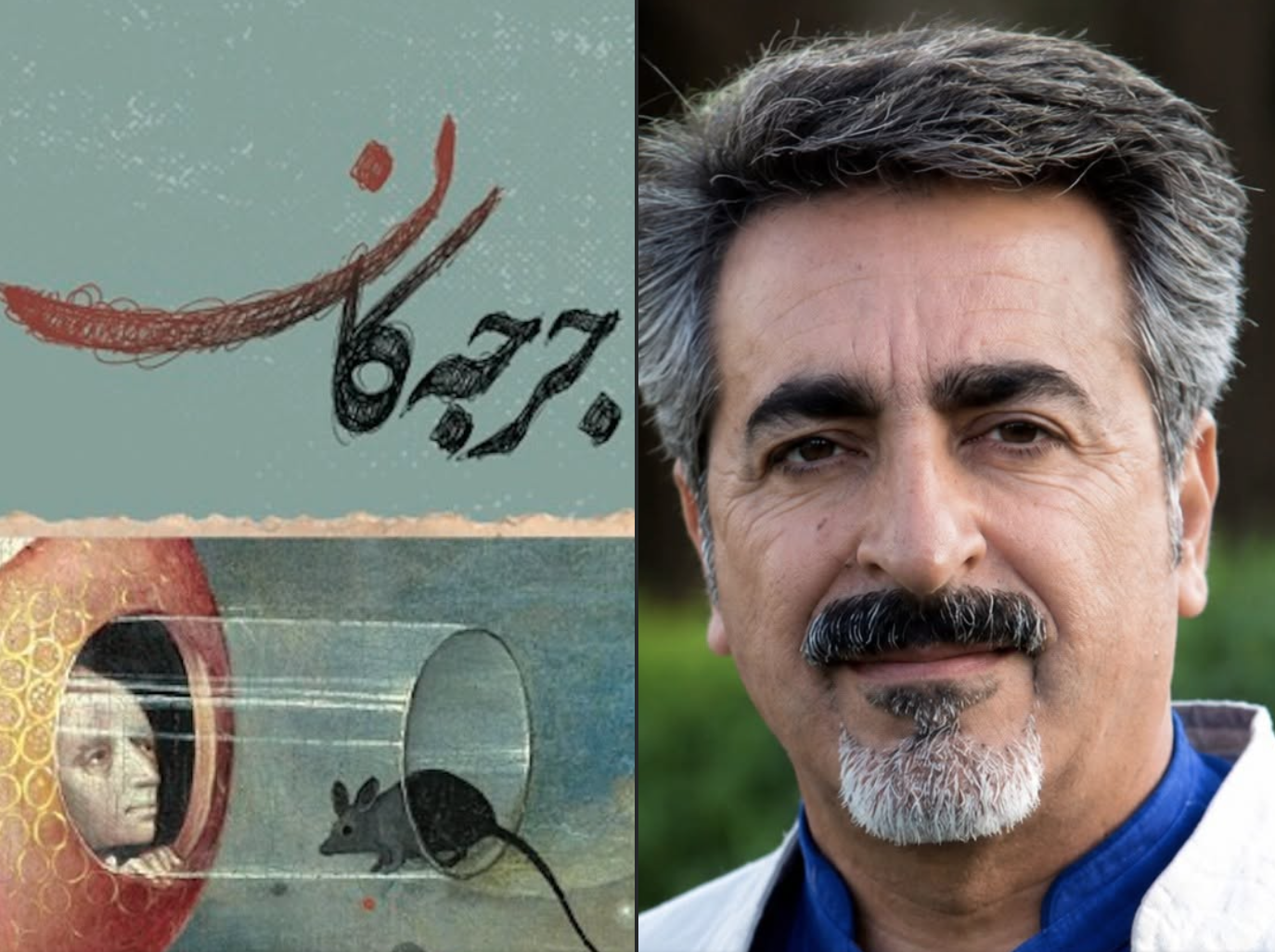 ڕۆمانی جرجەکان - خوێندنەوەی ڕێبوار سیوەیلی